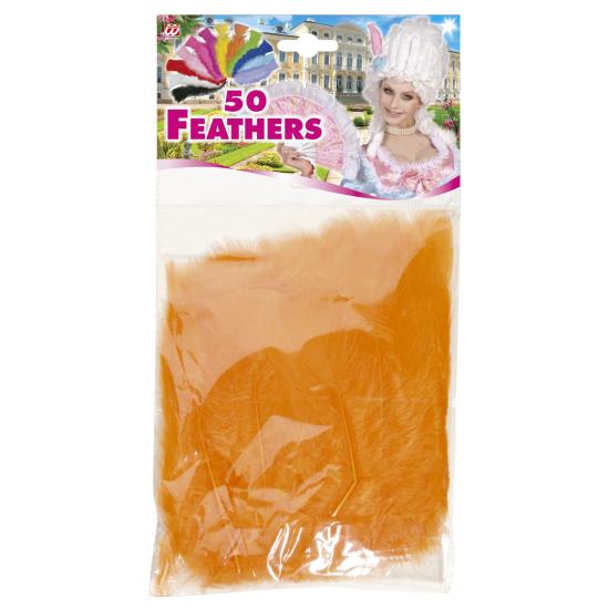 50 Plumas Adulto Unisex, Brasileños, Carnaval Brasileño, Fiestas Temáticas, 10 Cm Aprox. 50 Plumas Adulto Unisex, Brasileños, Carnaval Brasileño, Fiestas Temáticas, 10 Cm Aprox.