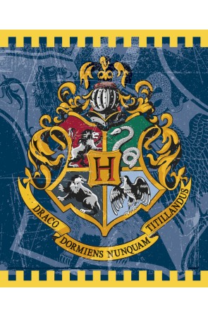 8 bolsas de chucherías de regalo Harry Potter - Hogwarts Houses