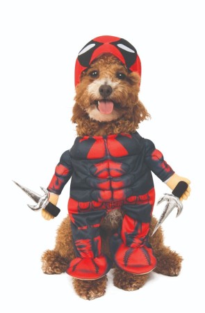Disfraz de Deadpool para perro