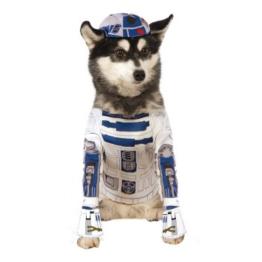 Disfraz de R2D2 para perro