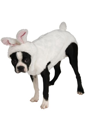 Disfraz de conejo para perro