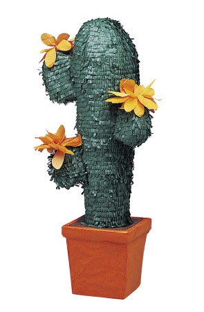 Piñata mediana de cactus