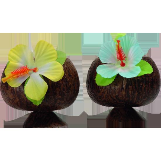 Vaso de coco hawaiano