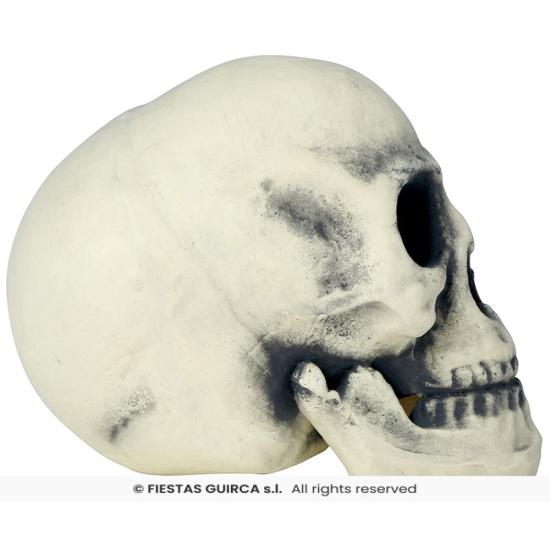 Calavera de Foam 32 cm – Decoración Realista de Halloween