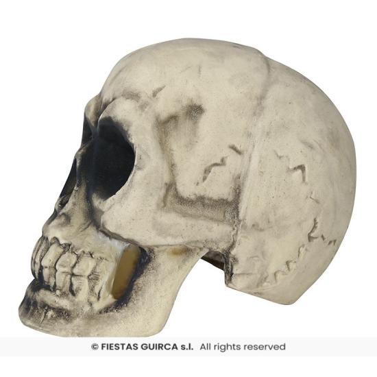 Calavera de Foam 32 cm – Decoración Realista de Halloween