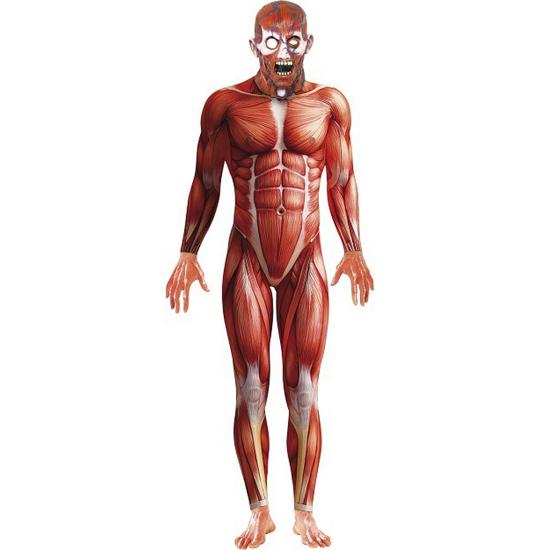 Disfraz Anatomía Humana Terror adulto Disfraz Anatomía Humana Terror adulto