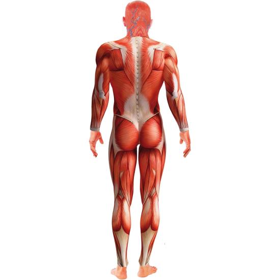 Disfraz Anatomía Humana Terror adulto Disfraz Anatomía Humana Terror adulto