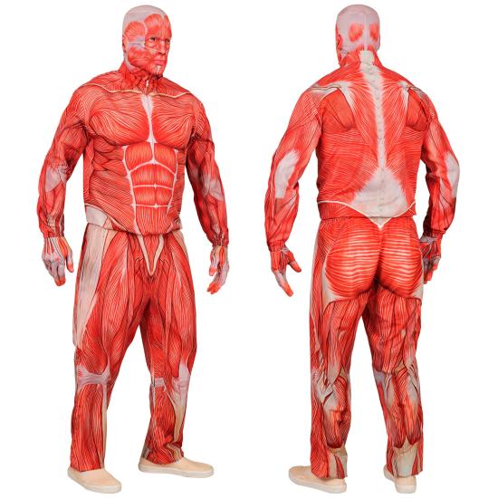 Disfraz de Anatomía FAST COSTUME para Adultos