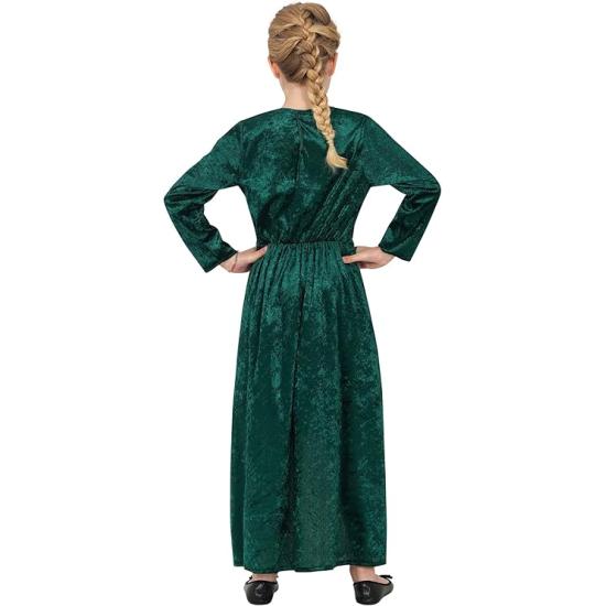 Disfraz de Fiona Shrek Lujo para niña