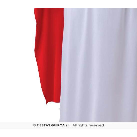 Disfraz Druida Panoramix.adultos