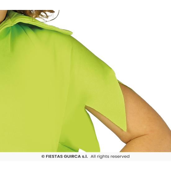 Disfraz infantil Primo de Peter Pan .