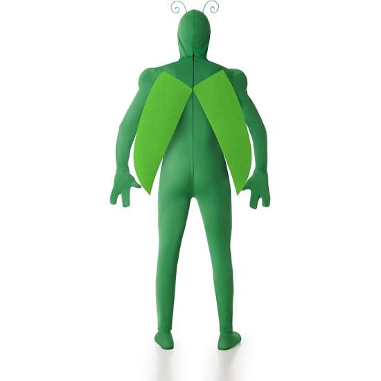 Disfraz Insecto Verde Hombre