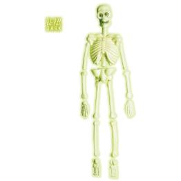Esqueleto de laboratorio Fluorescente ·3D 92 cm