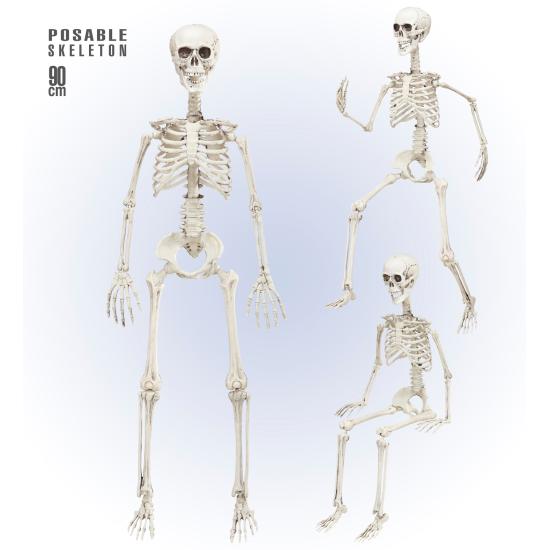 Esqueleto Posable 90 cm