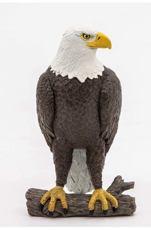 Figura Aguila Pygargue - Papo