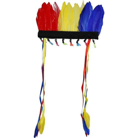 Penacho de Plumas Multicolor